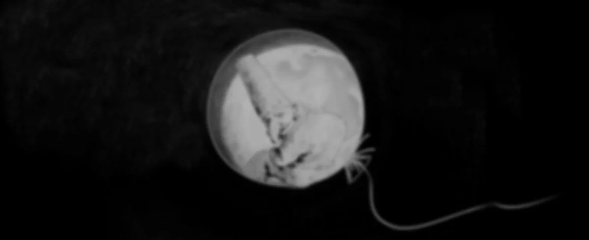 Пуф, или Ложь и истина